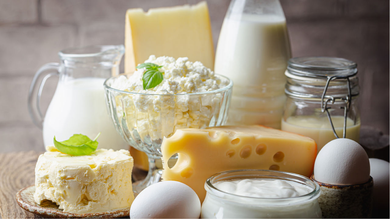 Dairy products food industry