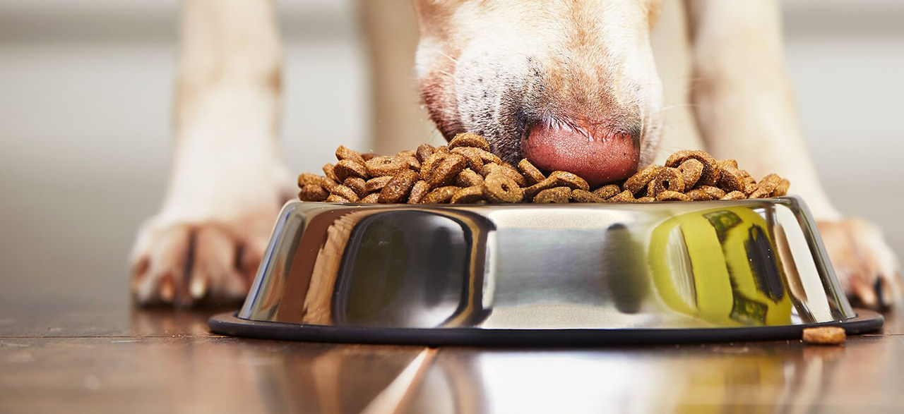 petfood microbiological testing