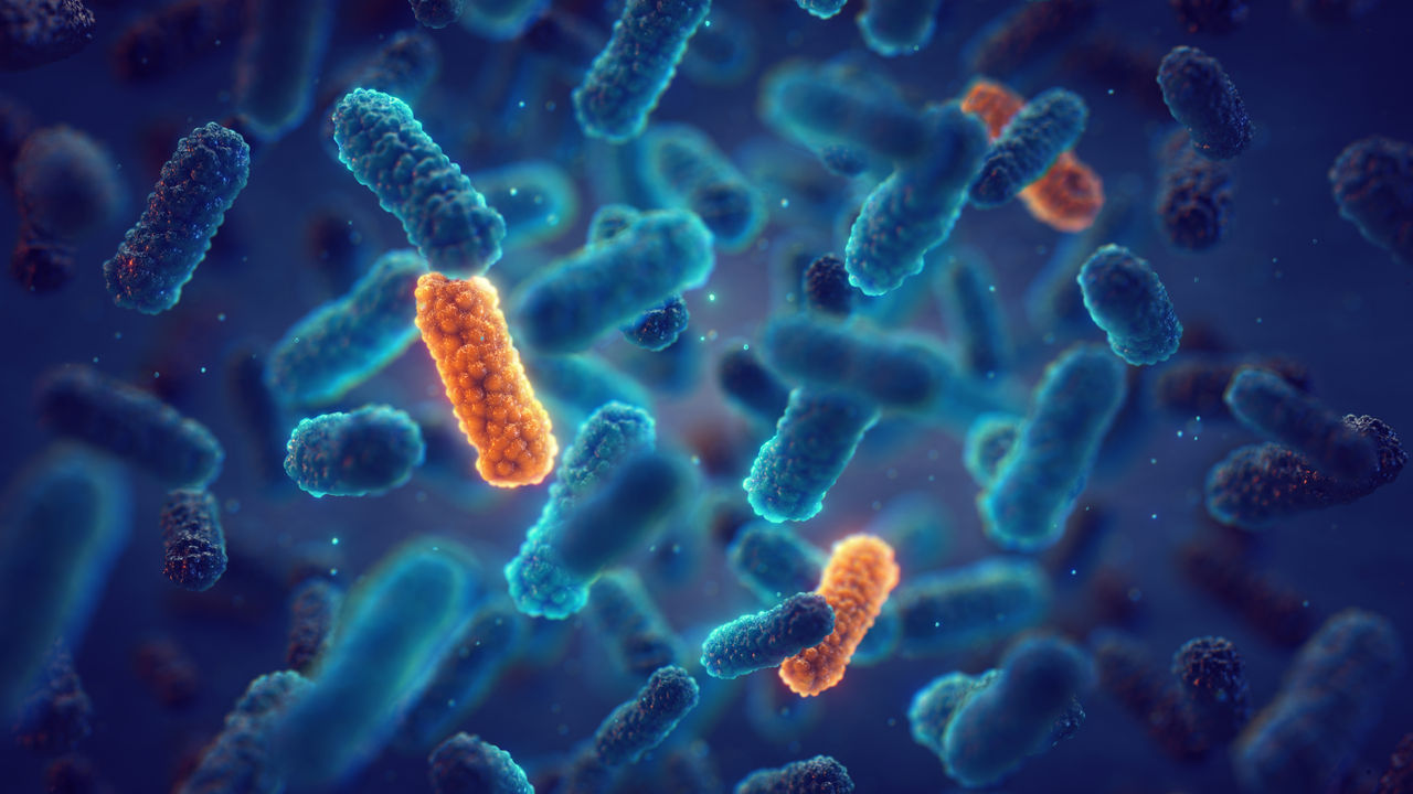 Antimicrobial Resistance (AMR) occurs when bacteria change over time and no longer respond to medicines. Genetic mutation in bacteria can lead to antibiotic resistance Improving stewardship through antibiograms